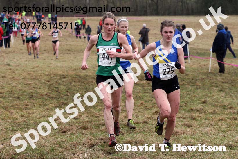 Senior women, 2018 Northern Cross Country Champs., Harewood House, Leeds. Photo: David T. Hewitson/Sports for All Pics